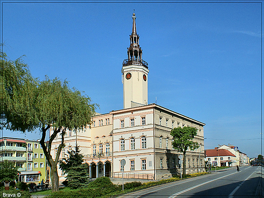 Ratusz w  Strzelcach Opolskich