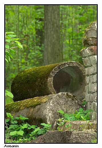 Antonin - przypaacowy park w stylu angielskim