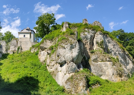 ruiny zamku Kazimierza Wielkiego