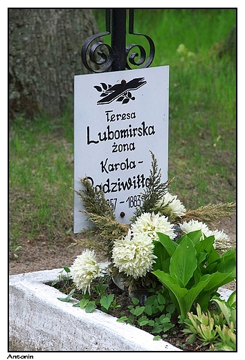 Antonin - groby Radziwiw przy kaplicy grobowej