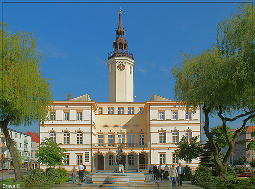 Ratusz w Strzelcach Opolskich