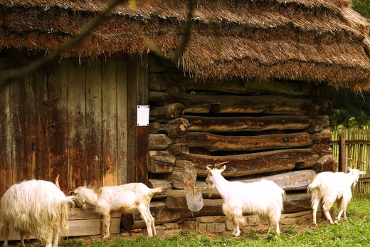 Skansen