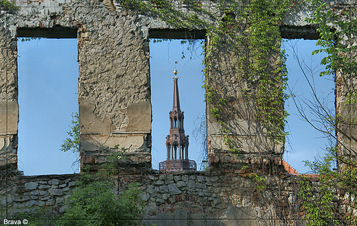 Fragment murw zamku w  Strzelcach Opolskich