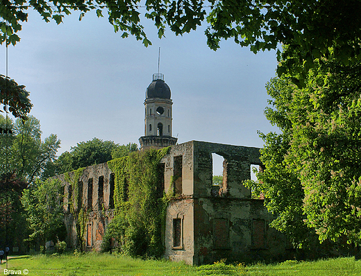 Ruiny zamku w  Strzelcach Opolskich