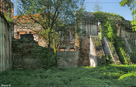Fragment murw Zamku w  Strzelcach Opolskich