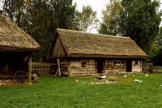 Skansen