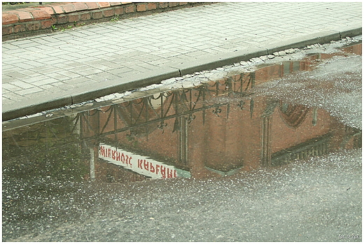 yrardw 2010