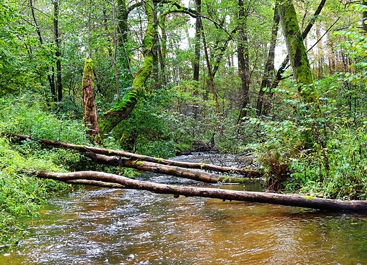 Czartowe Pole, rzeka Sopot