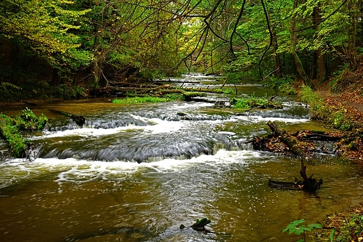 Szumy nad Tanwi, porohy