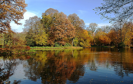 Pszczyna. Park.