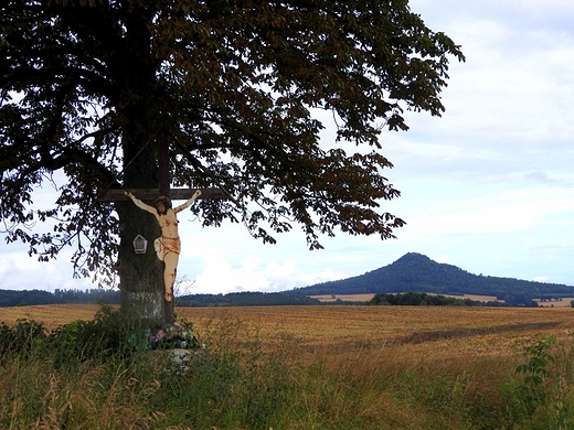 Widok na Ostrzyc Proboszczowick