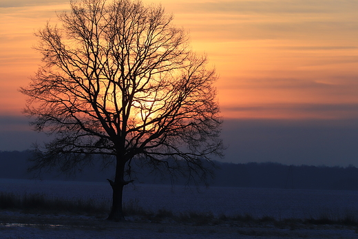 zimowy wschód słońca