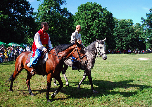 Pszczyna. Majwka konna 2009.