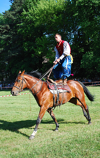 Pszczyna. Majwka konna w 2009roku.