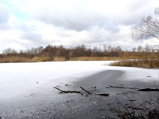 Rezerwat przyrody Bagno Pogorzel