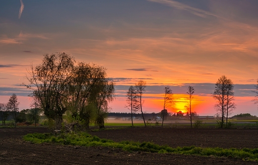 Wiosenne pola w Kuszewie