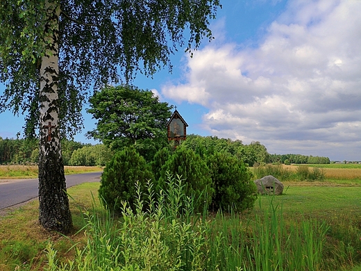 Na trasie Tomaszw Mazowiecki- Sulejw.