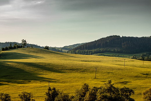 Pustelnik, ki, pola, lasy i grki