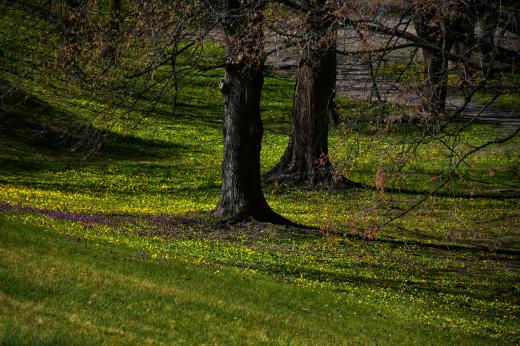 Park na Westerplatte