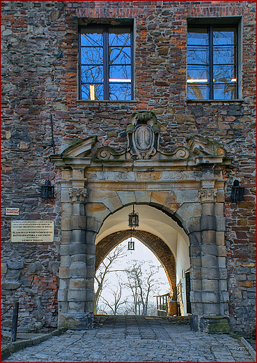 Zamek w Toszku - zabytkowy portal