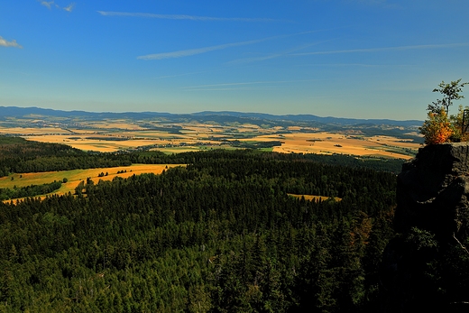 Panorama ze Szczelińca