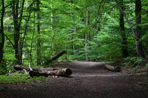 Dolina Elfw Trjmiejski Park Krajobrazowy