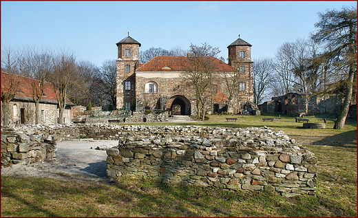 Zamek w  Toszku - widok od dziedzica