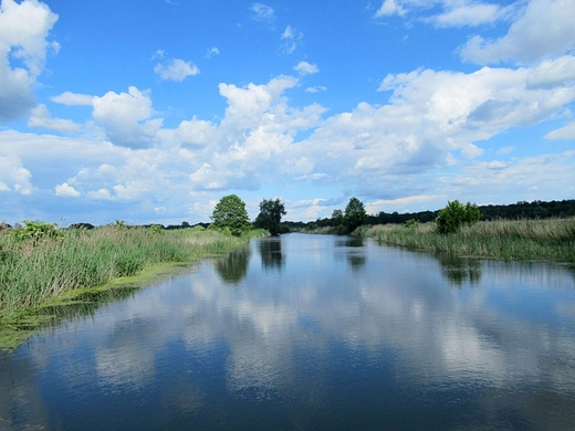 Mienia si mieni