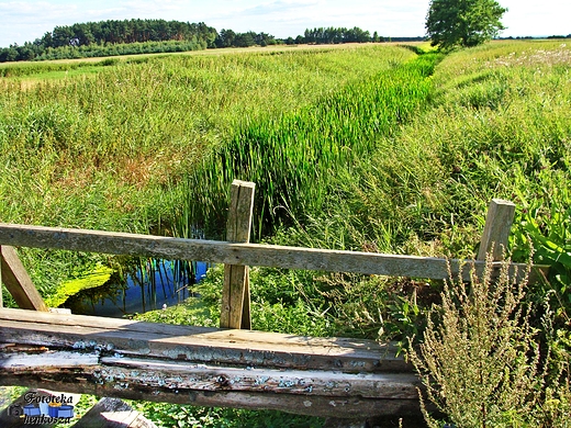 Raczkowice i Raczkowice Kolonia