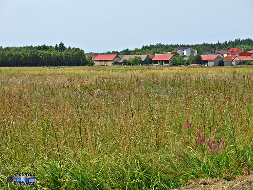 Raczkowice i Raczkowice Kolonia