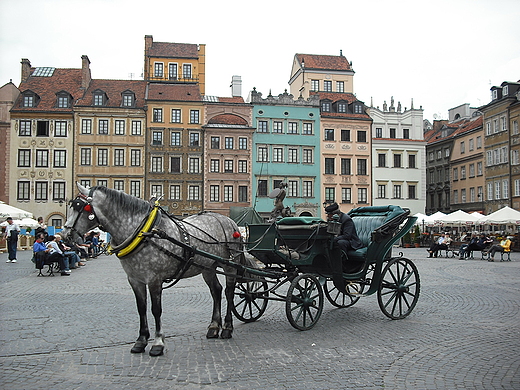 Warszawa. Doroka na rynku Starego Miasta.