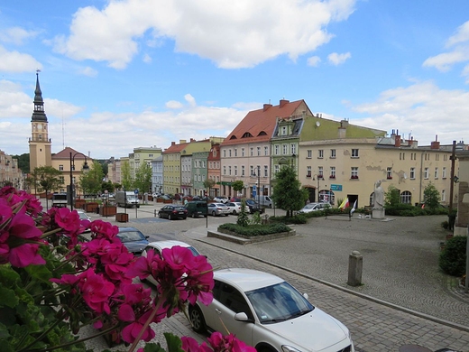 Bolkowski Rynek