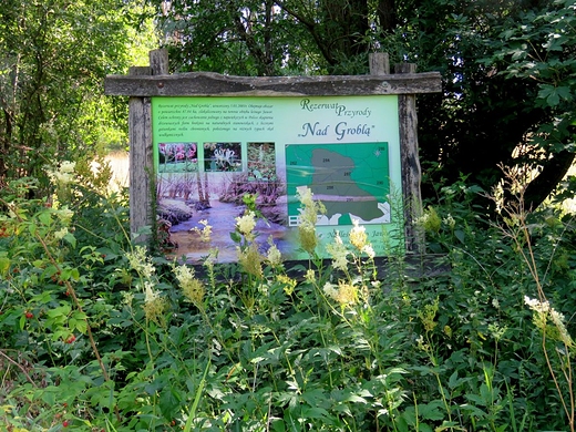 Rezerwat przyrody Nad Grobl - park krajobrazowy Chemy