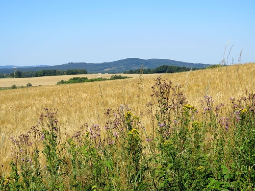 Widok z Czartowskiej Skay