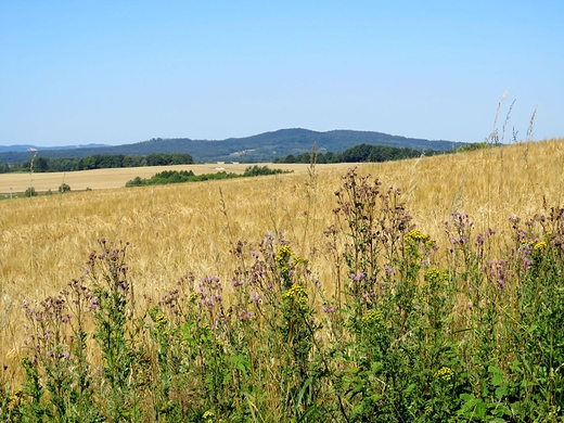 Widok z Czartowskiej Skay