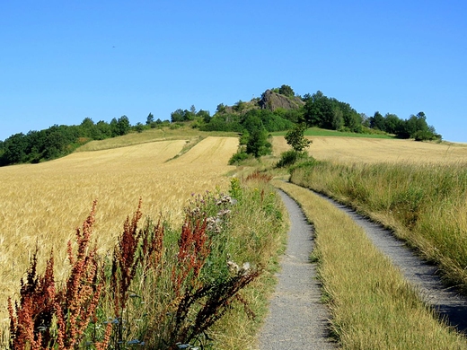 Rezerwat przyrody Czartowska Skaa