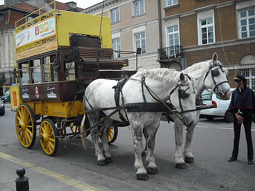 Warszawa. Postj omnibusu konnego.