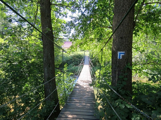 Kadka zwodzona nad widrem