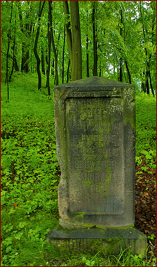 Zesp Parkowo Paacowy w Moszowej - fragment parku