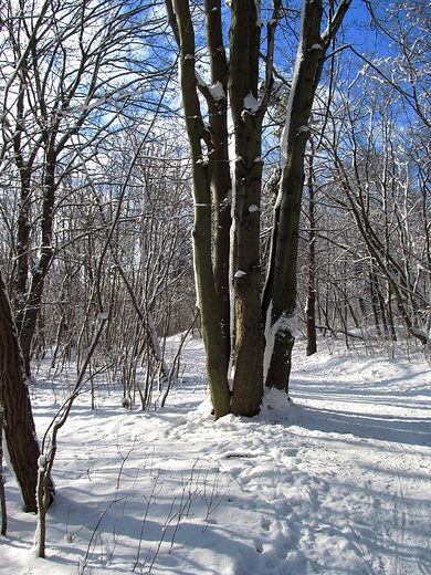 Bajkowy pejza