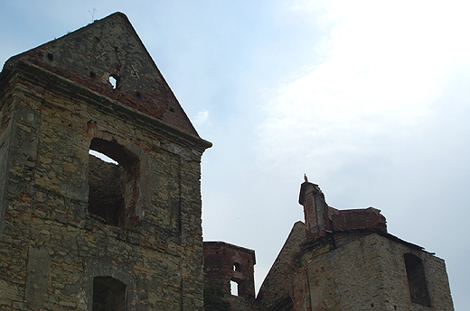 Zagrz - duch Nieczui przybiera czasem posta bociana. Bieszczady