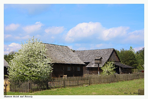 Skansen Osiek nad Noteci