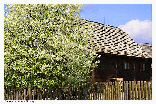 Skansen Osiek nad Noteci