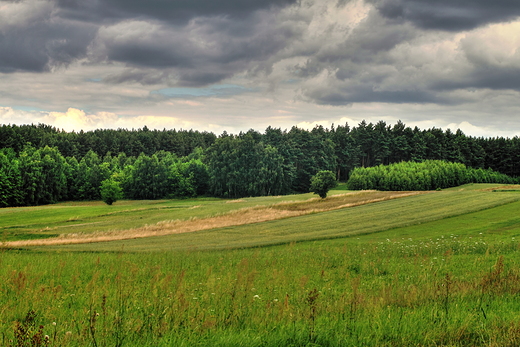 Ostrzeszw i okolice