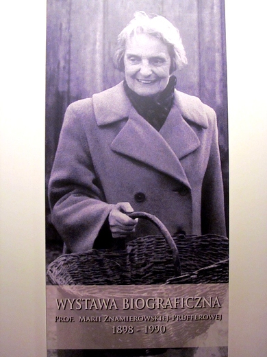 Pni profesor - twrca Muzeum Etnograicznego