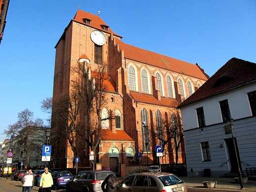 Katedra toruska