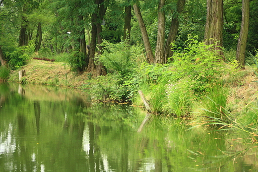 geopark w Grzybowicach