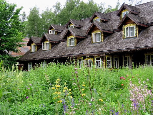 Zioowy Zaktek - Podlaski Ogrd Botaniczny