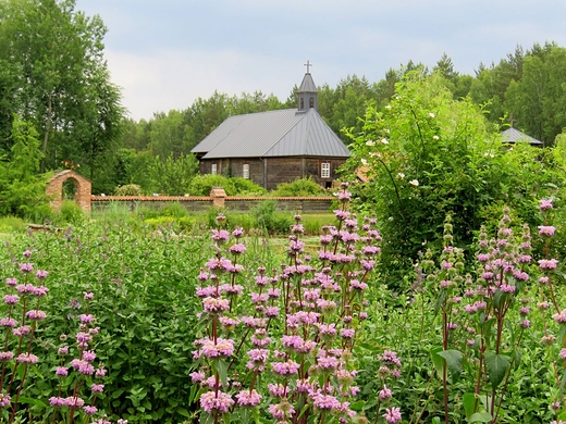 Zioowy Zaktek - Podlaski Ogrd Botaniczny