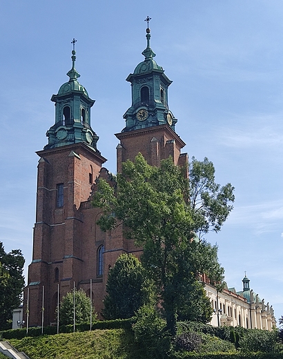 Katedra